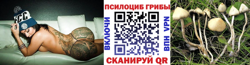 Галлюциногенные грибы ЛСД mega как зайти Конаково где можно купить наркотик