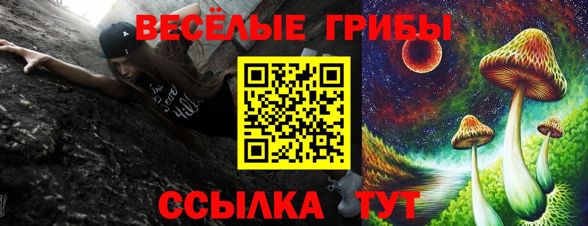 Конаково  хочу наркоту  Вход с VPN  Галлюциногенные грибы Psilocybine cubensis 